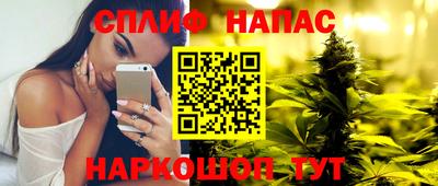 Альфа ПВП Бердск